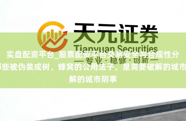 实盘配资平台_股票配资平台交易安全与合规性分析 那些被伪装成树、蜂窝的公用法子,是需要破解的城市阴事