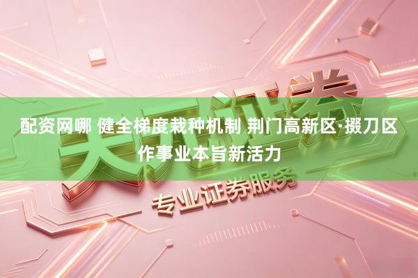 配资网哪 健全梯度栽种机制 荆门高新区·掇刀区作事业本旨新活力