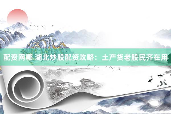 配资网哪 湖北炒股配资攻略：土产货老股民齐在用