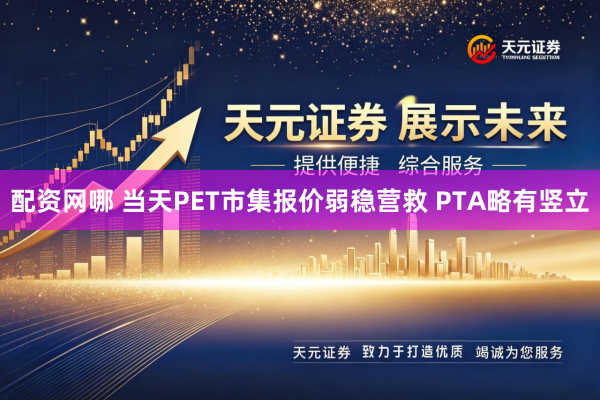 配资网哪 当天PET市集报价弱稳营救 PTA略有竖立