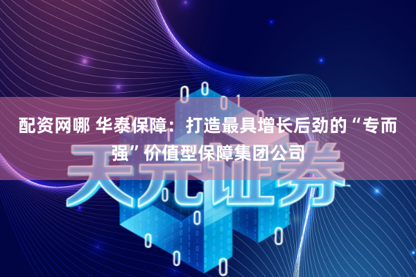 配资网哪 华泰保障：打造最具增长后劲的“专而强”价值型保障集团公司