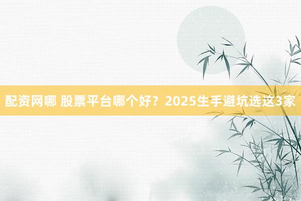 配资网哪 股票平台哪个好？2025生手避坑选这3家