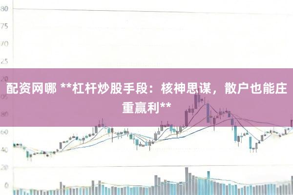 配资网哪 **杠杆炒股手段：核神思谋，散户也能庄重赢利**