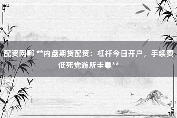 配资网哪 **内盘期货配资:杠杆今日开户,手续费低死党游所圭臬**