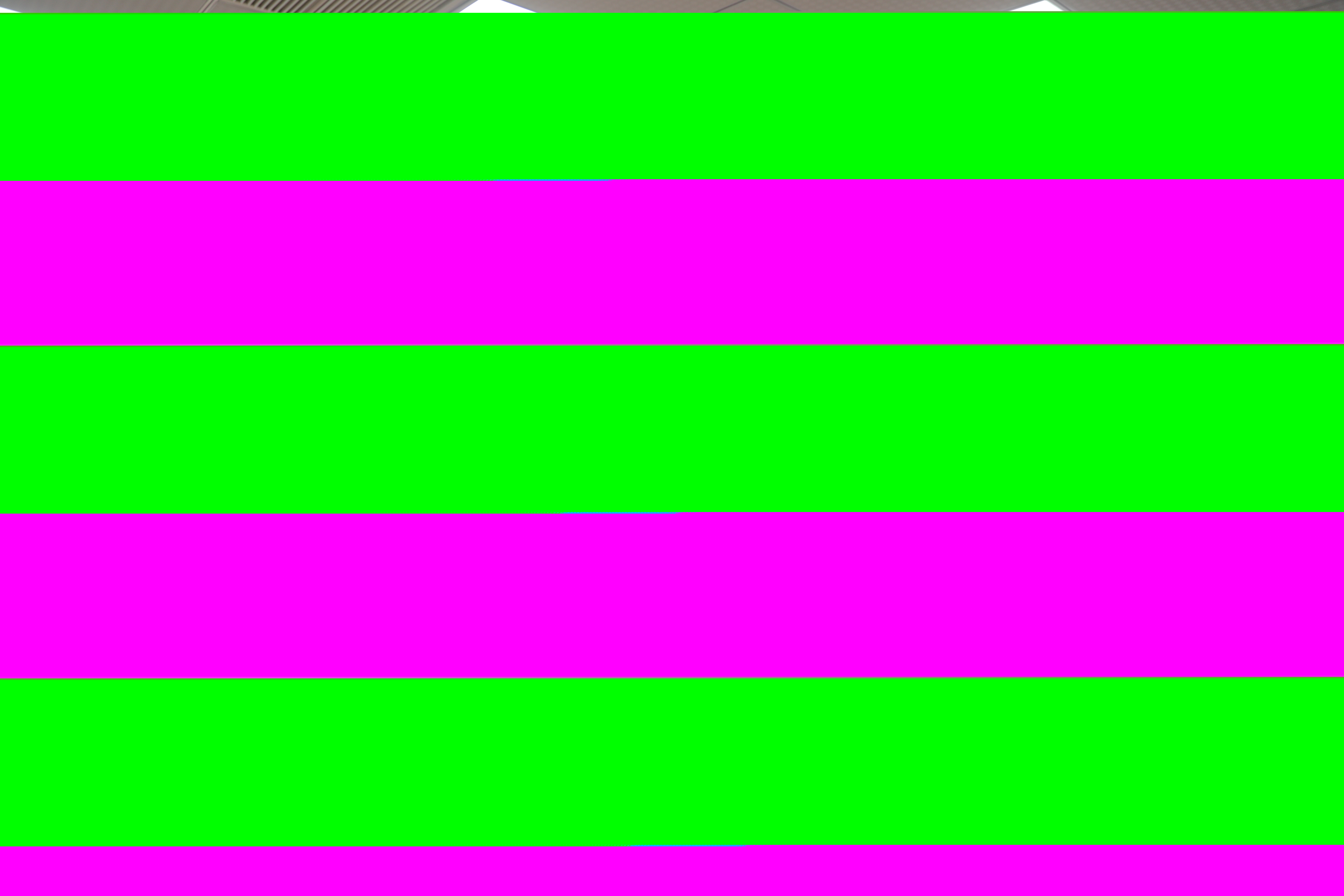 480A9775.JPG