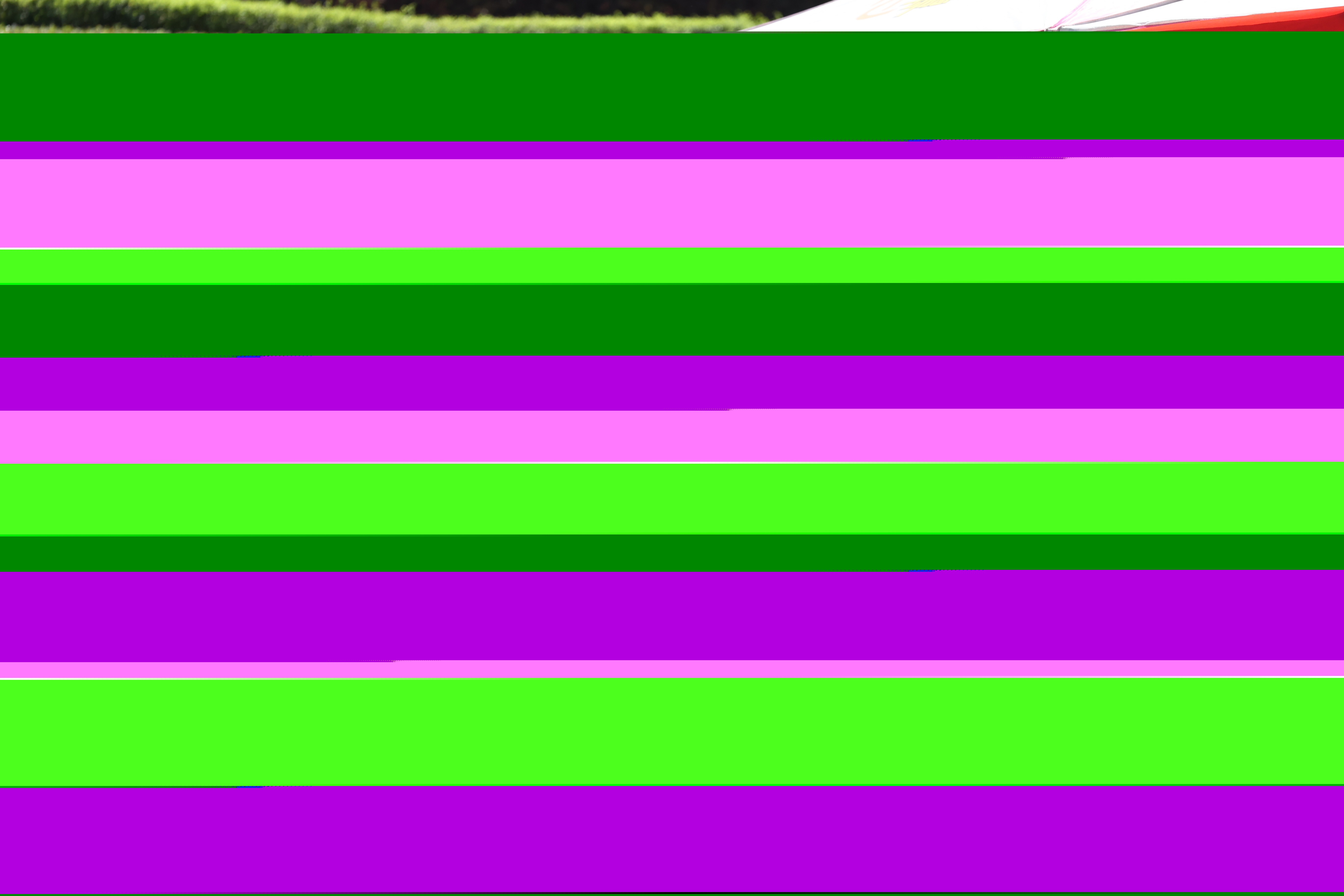 4.JPG
